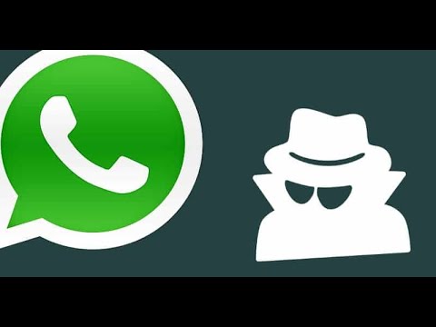 Telegram Android: Notifiche in Tempo Reale per i Contatti Online